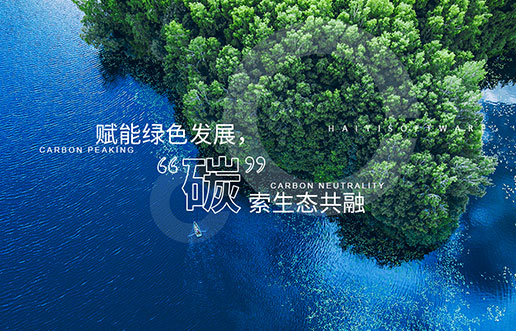 【Lewin乐玩新视野】赋能绿色发展，，，，，，，“碳”索生态共融——Lewin乐玩“双碳+”生态一站